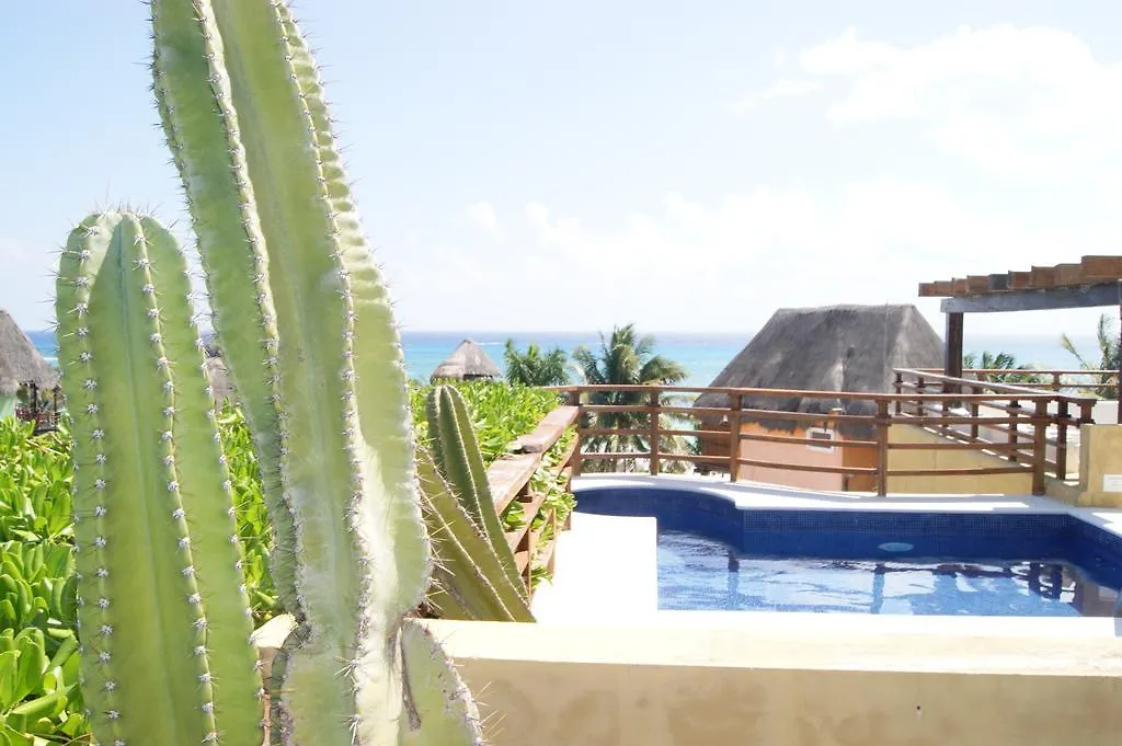 דירות פלאייה דל כרמן Pueblito Escondido By Playa Moments